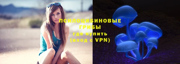 a pvp Алзамай