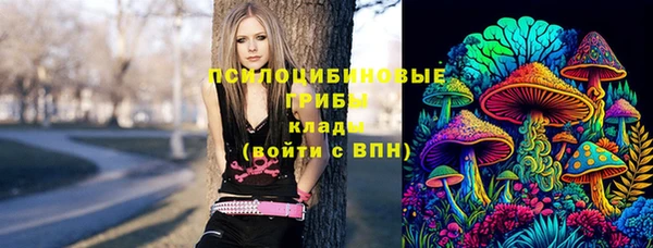 a pvp Алзамай